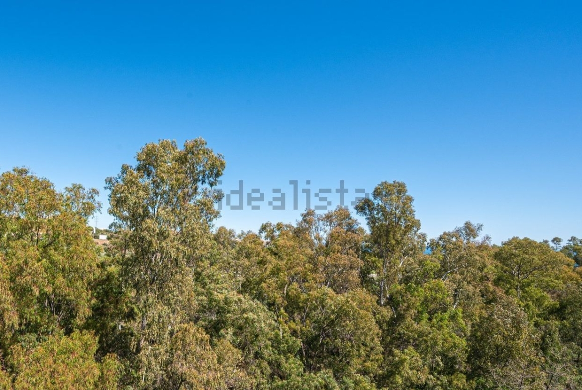 Ático en venta en Calle Monte Paraíso