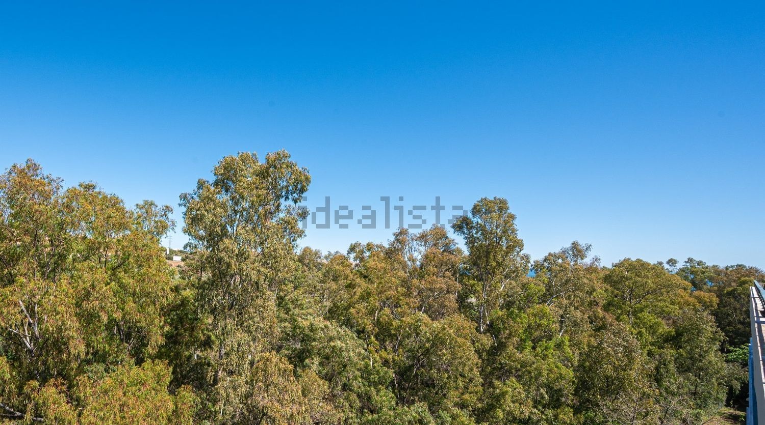 Ático en venta en Calle Monte Paraíso (50) Ático en venta en Calle Monte Paraíso