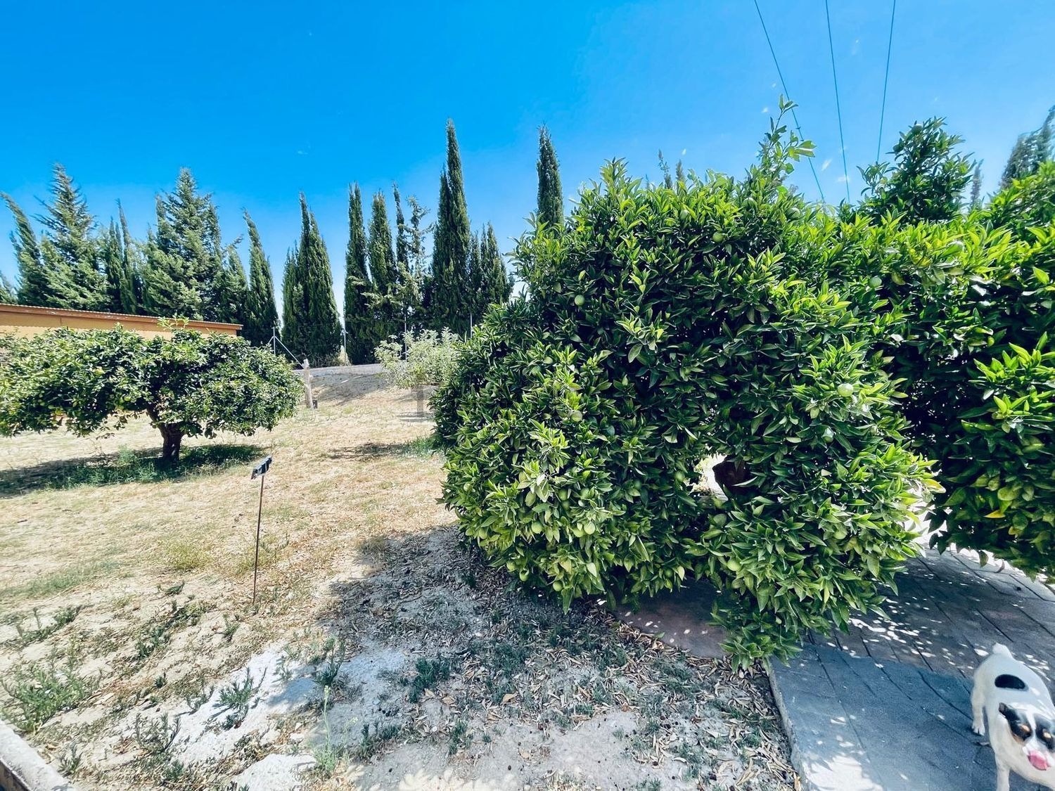 Casa o chalet independiente en venta en Carretera de Coín (30) Casa o chalet independiente en venta en Carretera de Coín