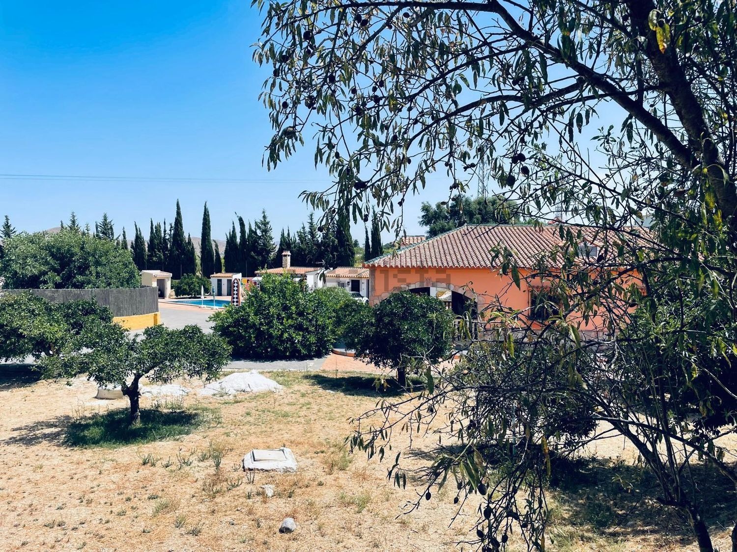 Casa o chalet independiente en venta en Carretera de Coín (37) Casa o chalet independiente en venta en Carretera de Coín